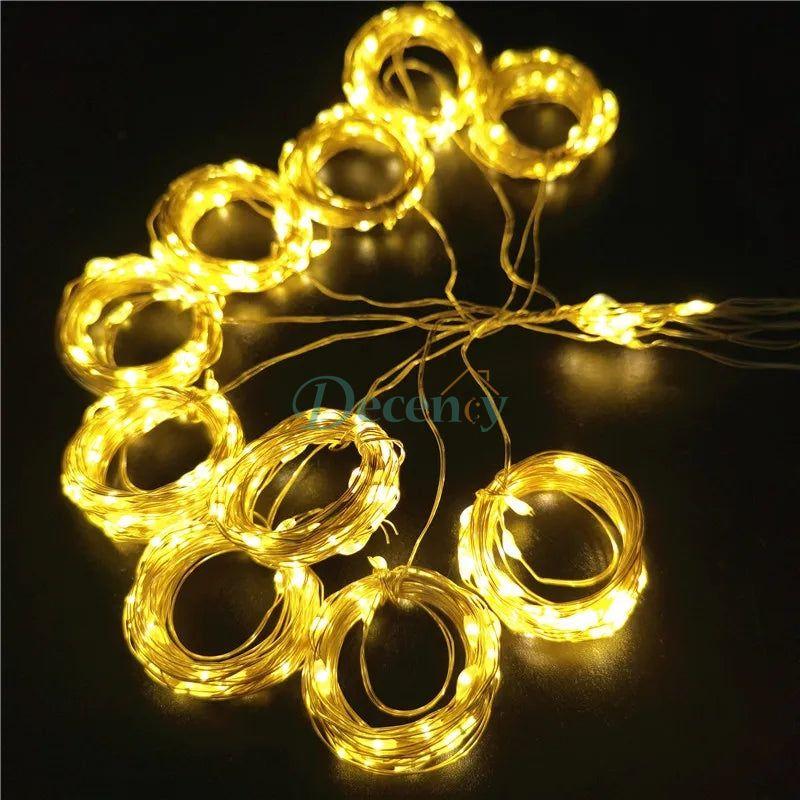 Curtain Light (10x10FT)