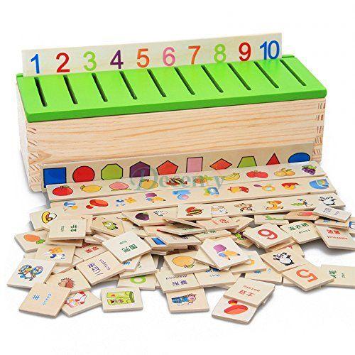 Montessori Knowledge Classification Box