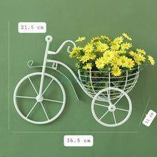 Bicycle Design Wall Basket For Home Decoration - Decency