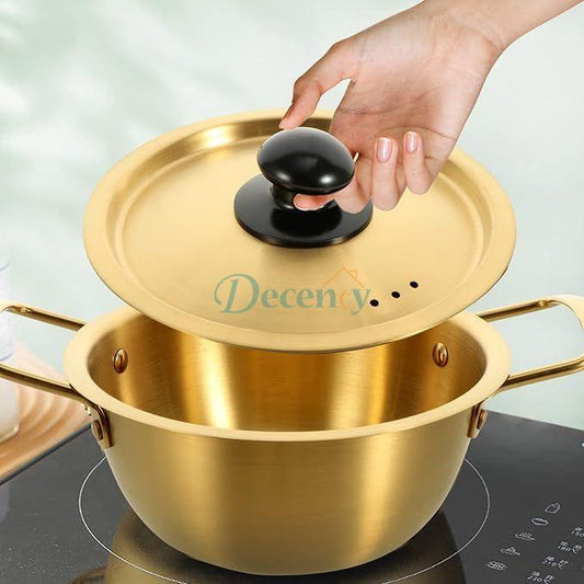 Stainless Steel Golden Cooking Pot (22 CM )
