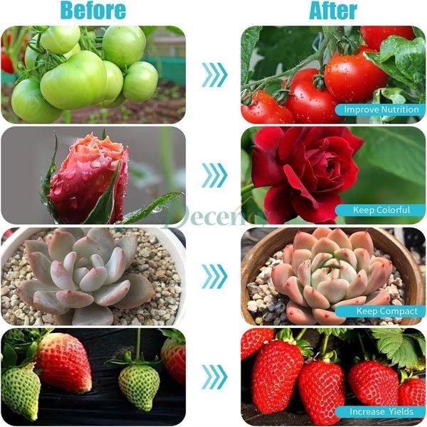 Full Spectrum LED Grow Light – USB Phyto Lamp for Indoor Plants