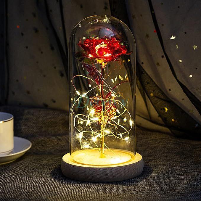 Glass Dome with LED Light Wood Lamp