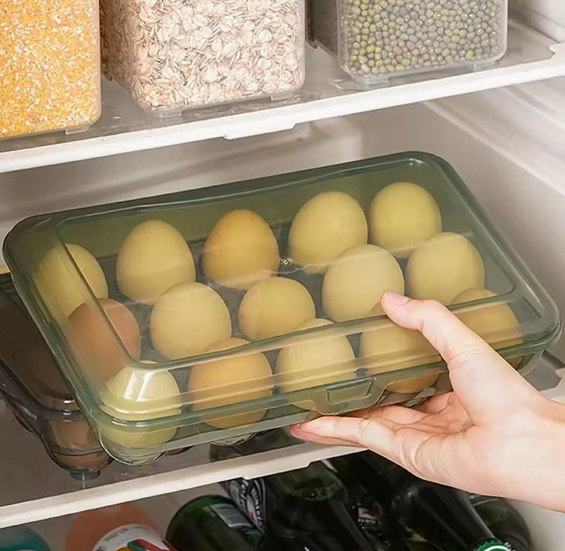 New 15 Grids Egg Storage Box
