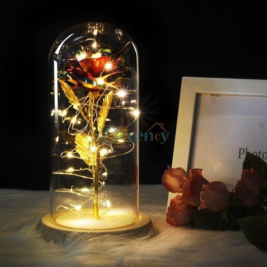 Glass Dome with LED Light Wood Lamp