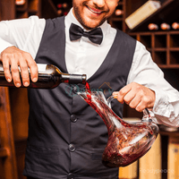 Cascade Wine Decanter (without Glass)