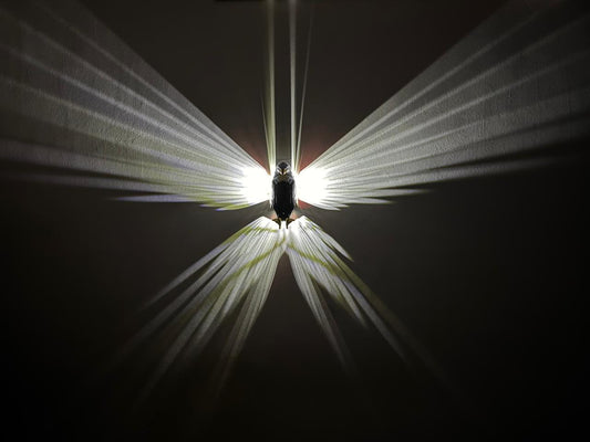 Eagle Bird Shadow Night Lamp, USB Charging, with Remote Controls