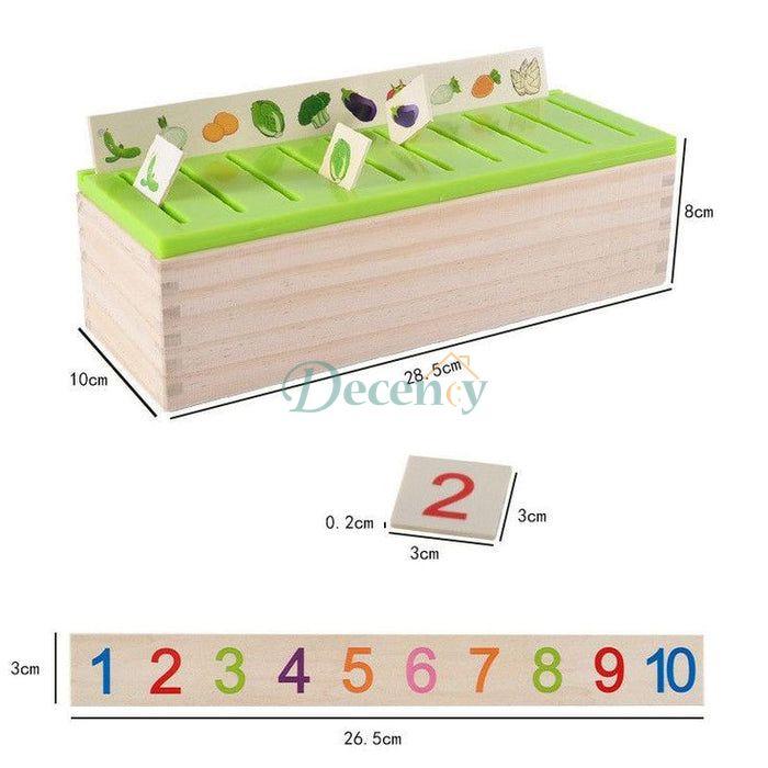 Montessori Knowledge Classification Box