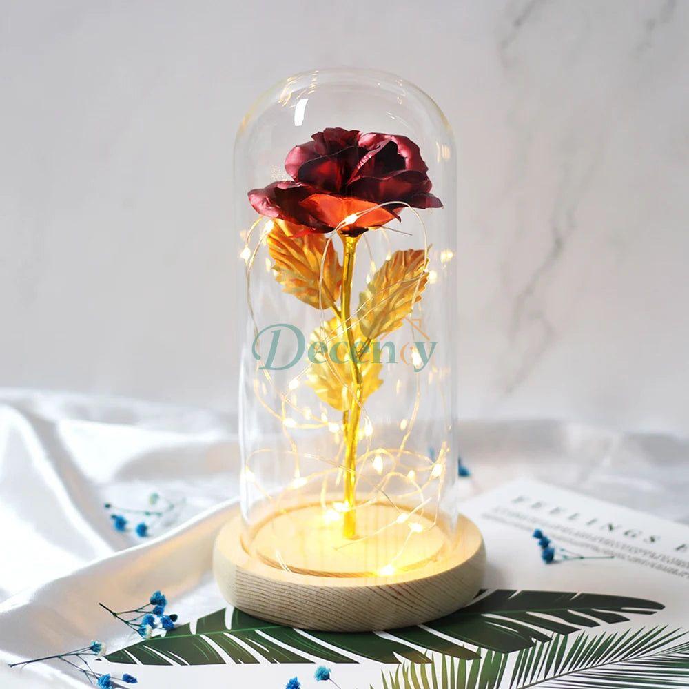 Glass Dome with LED Light Wood Lamp