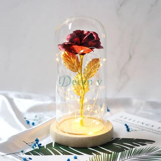 Glass Dome with LED Light Wood Lamp