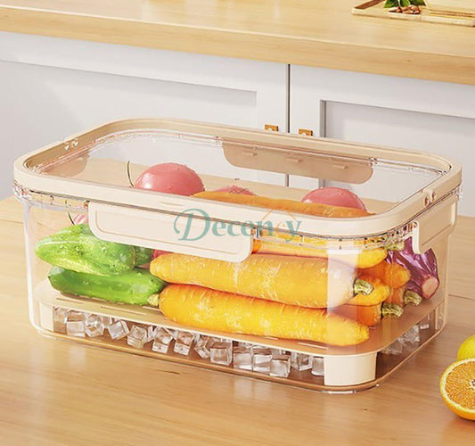 Refrigerator Storage Box With Draining Plate