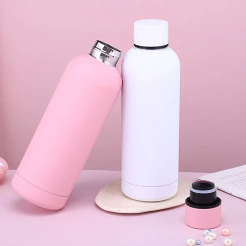 Stainless Steel Insulated Water Bottle