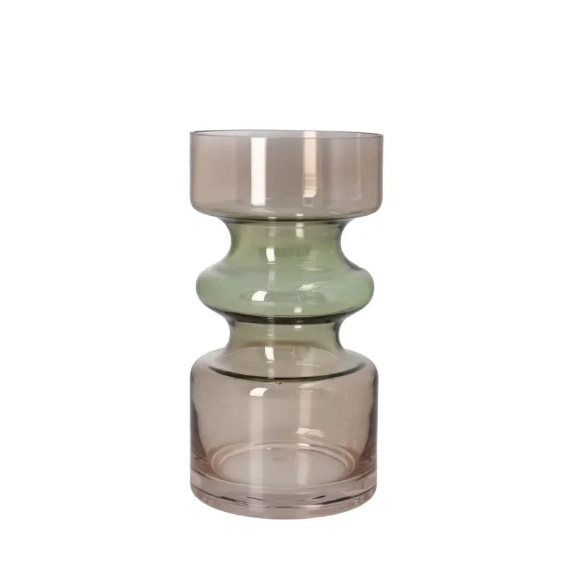 Danny Home Glass Plant Vase 18.2cm