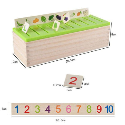 Montessori Knowledge Classification Box