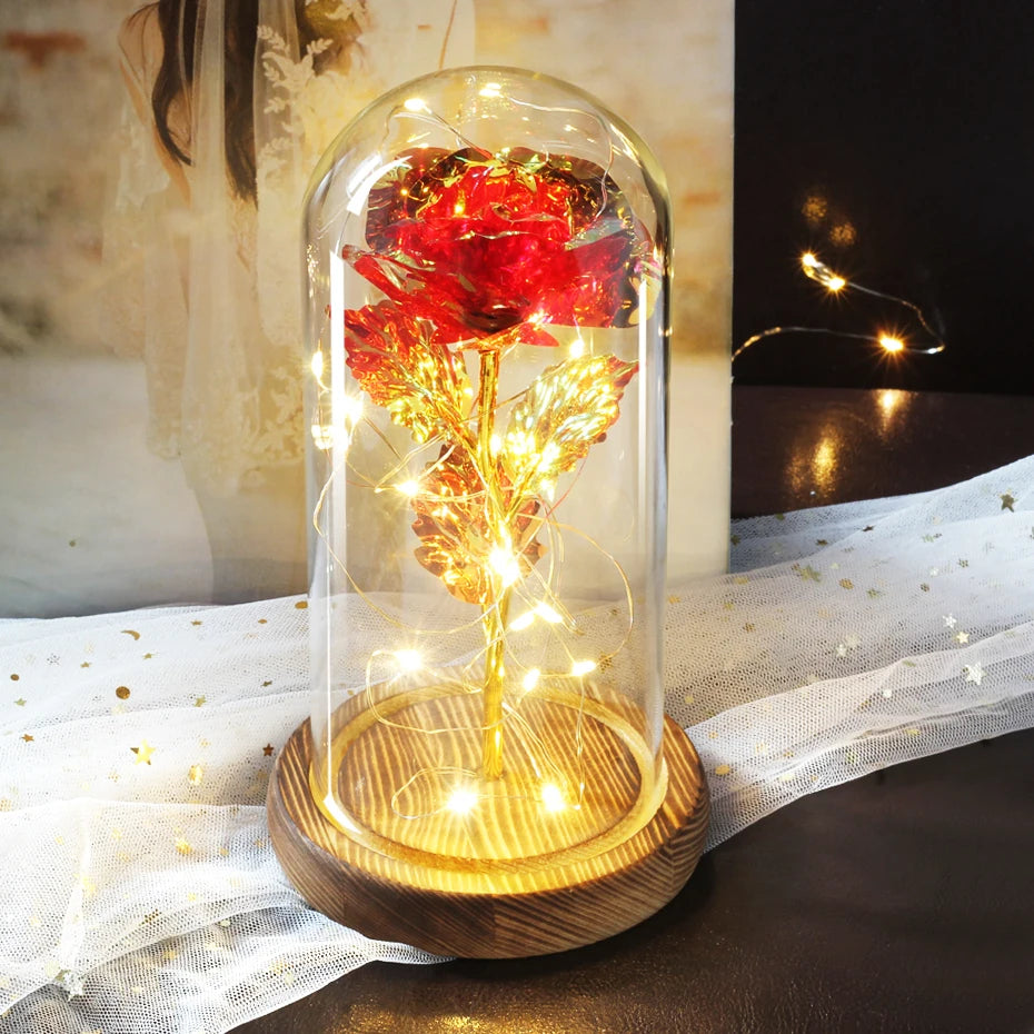 Glass Dome with LED Light Wood  Lamp